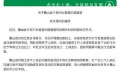 鲁山爆料者最新回应新闻,揭秘事件真相与后续发展